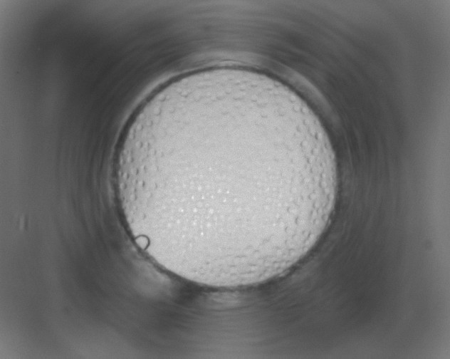 X0000081401182200702090056