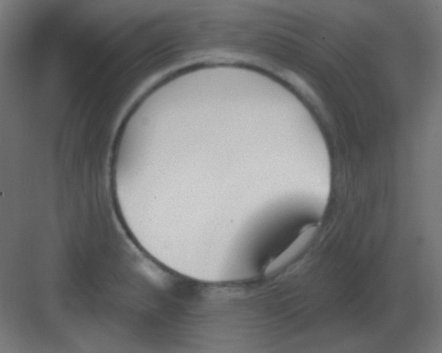 X0000081401183200702090056