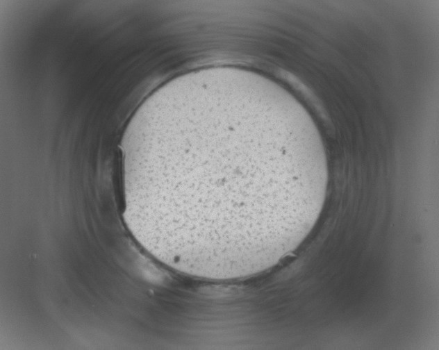 X0000081401185200702090056