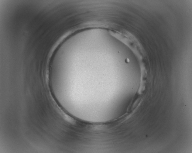 X0000081401188200702090056