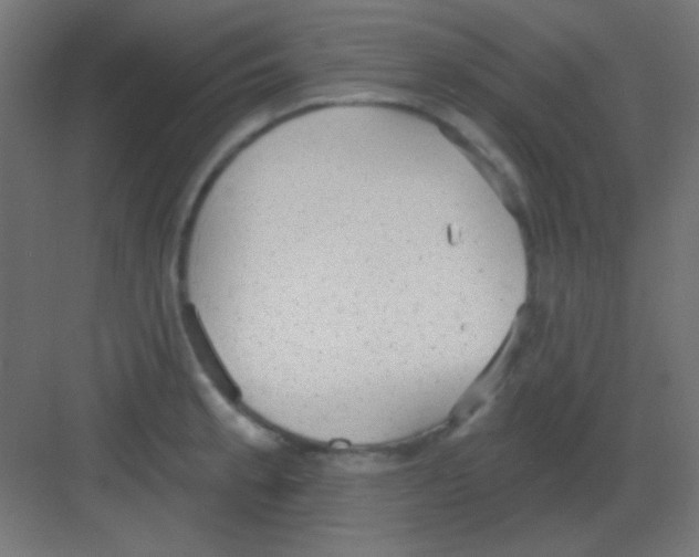 X0000081401189200702090056