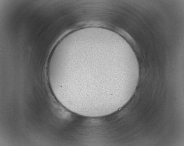 X0000081401190200702090056