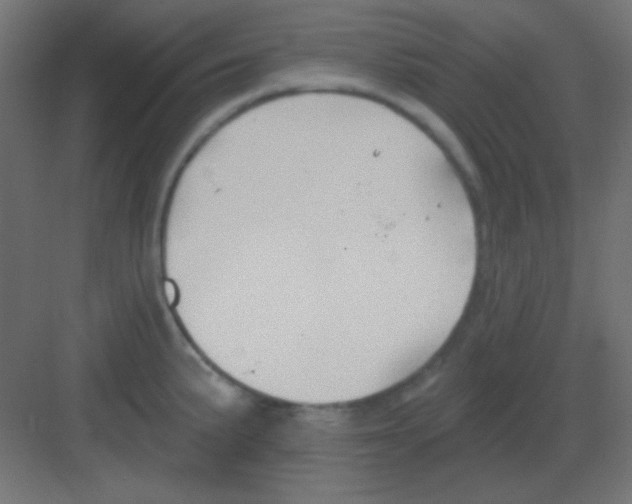 X0000081401191200702090056