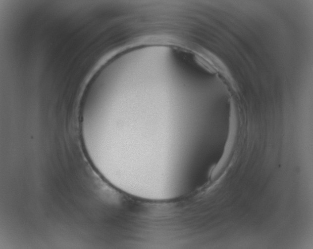 X0000081401192200702090055