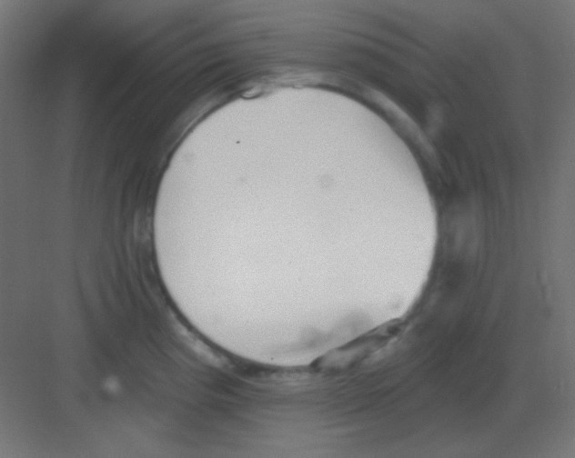 X0000081401193200702090055