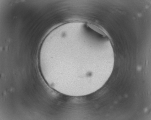 X0000081401195200702090055