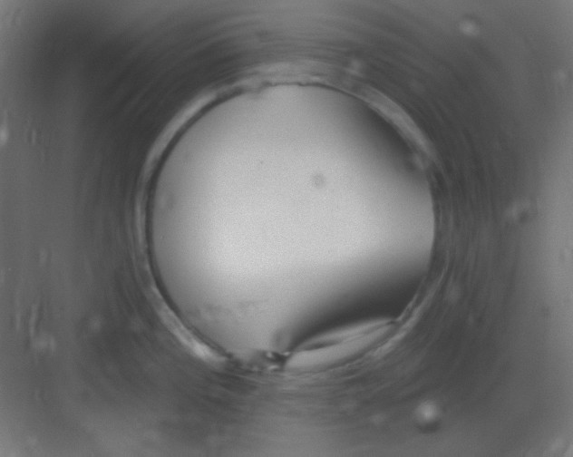 X0000081401196200702090055