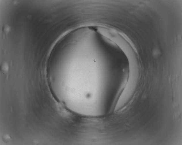 X0000081401197200702090055