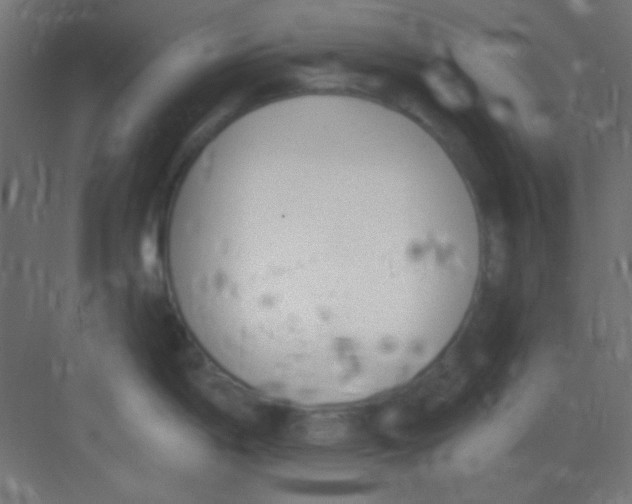 X0000081401198200702090055