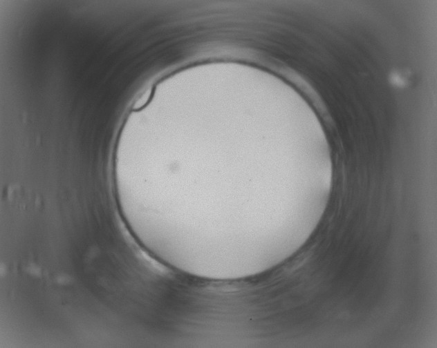 X0000081401199200702090055