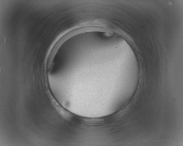 X0000081401200200702090055