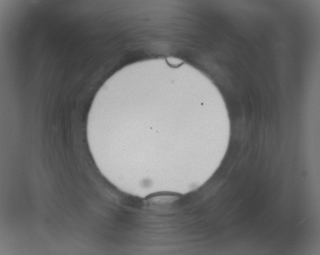 X0000081401201200702090055