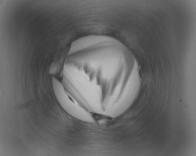 X0000081401202200702090055