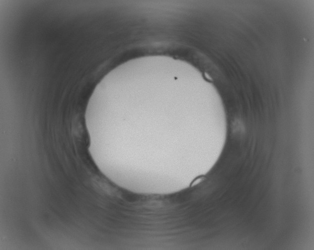 X0000081401204200702090055