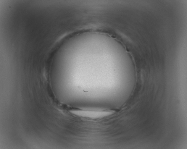 X0000081401206200702090055