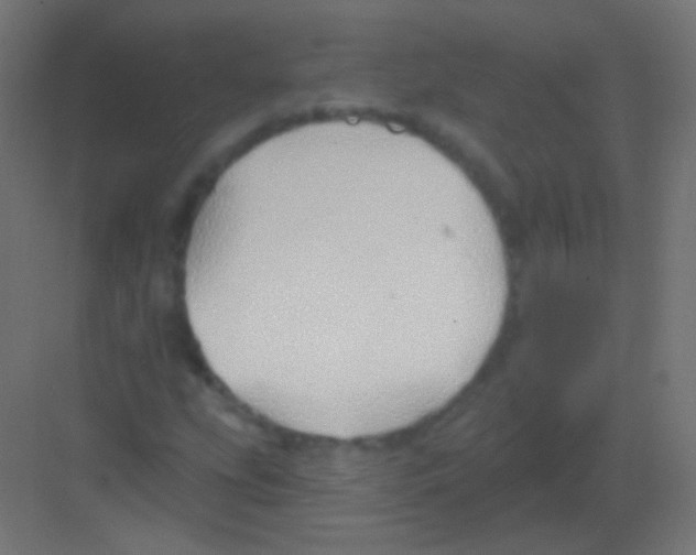 X0000081401207200702090055