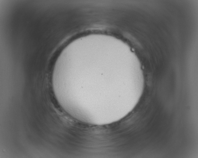 X0000081401208200702090055