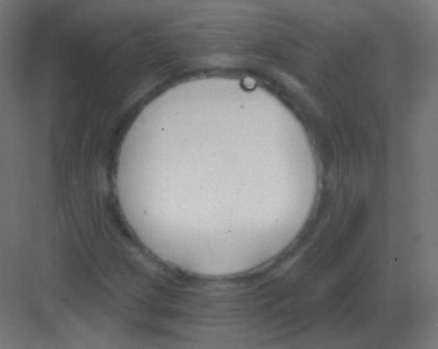 X0000081401209200702090055