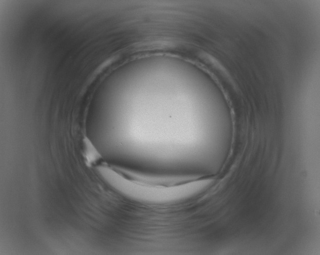 X0000081401210200702090055