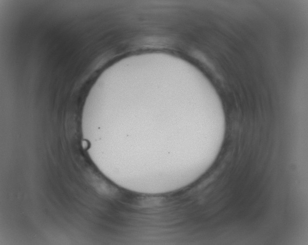 X0000081401211200702090055