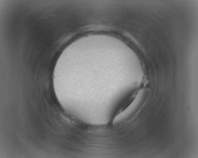 X0000081401213200702090055