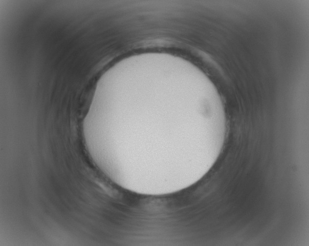 X0000081401217200702090055