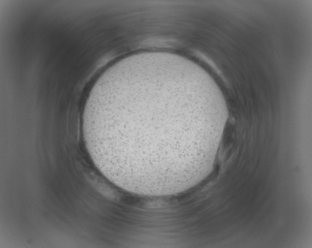 X0000081401219200702090055