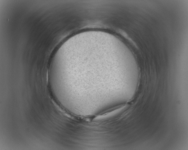 X0000081401221200702090055