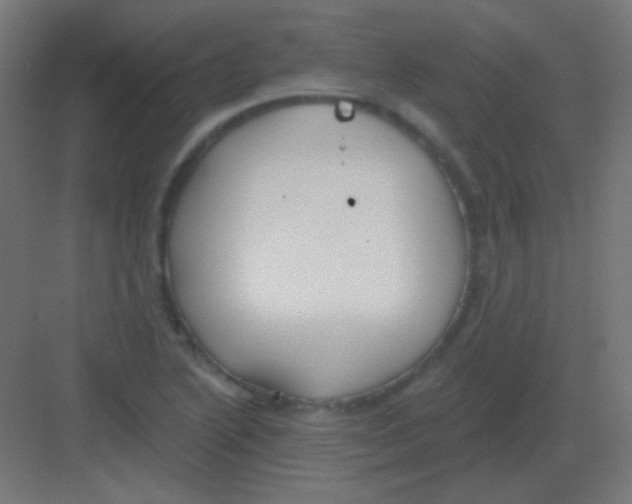 X0000081401222200702090055