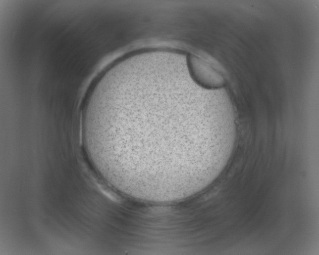 X0000081401223200702090055