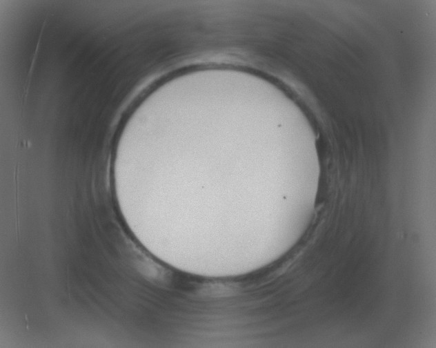 X0000081401224200702090055