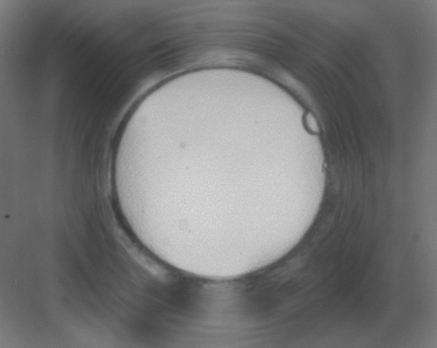 X0000081401227200702090055