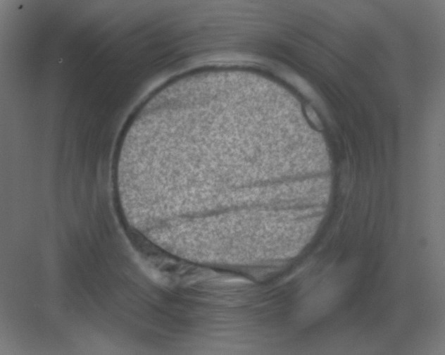 X0000081401229200702090055