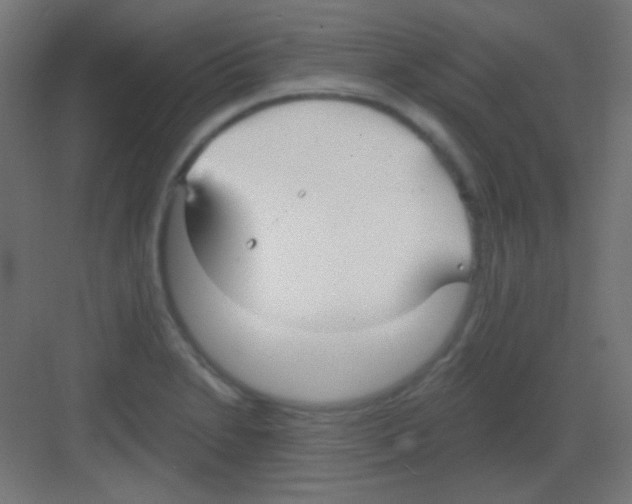 X0000081401230200702090055