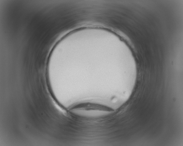 X0000081401231200702090055