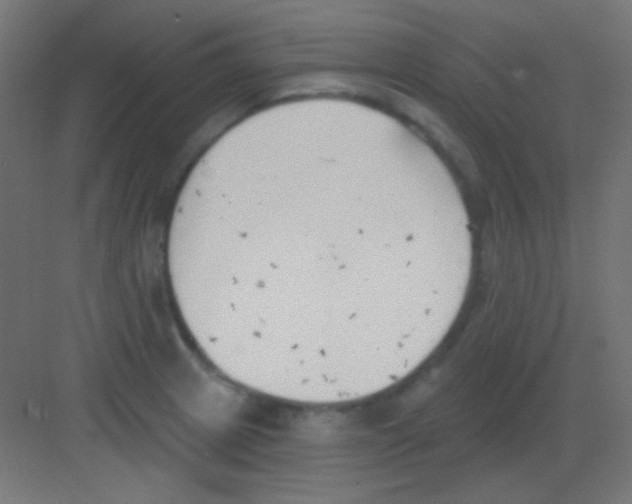 X0000081401233200702090055