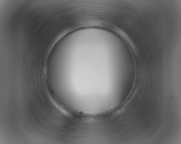 X0000081401234200702090055