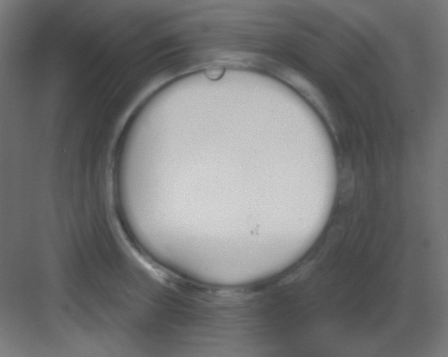 X0000081401235200702090055