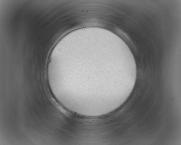 X0000081401236200702090055