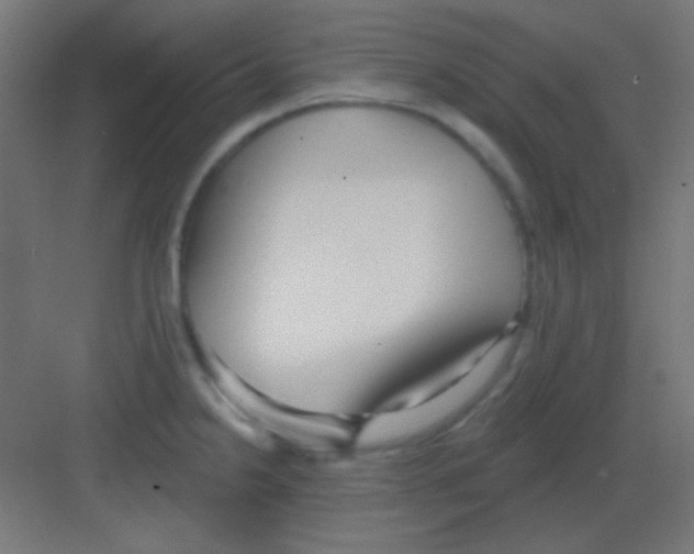 X0000081401238200702090055