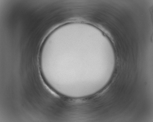 X0000081401239200702090055