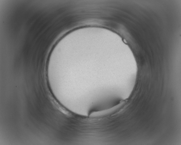 X0000081401240200702090055