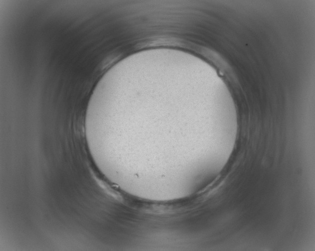 X0000081401241200702090055