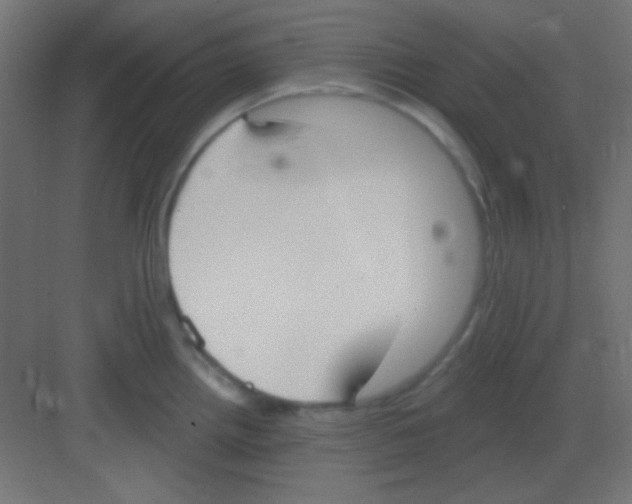 X0000081401242200702090055