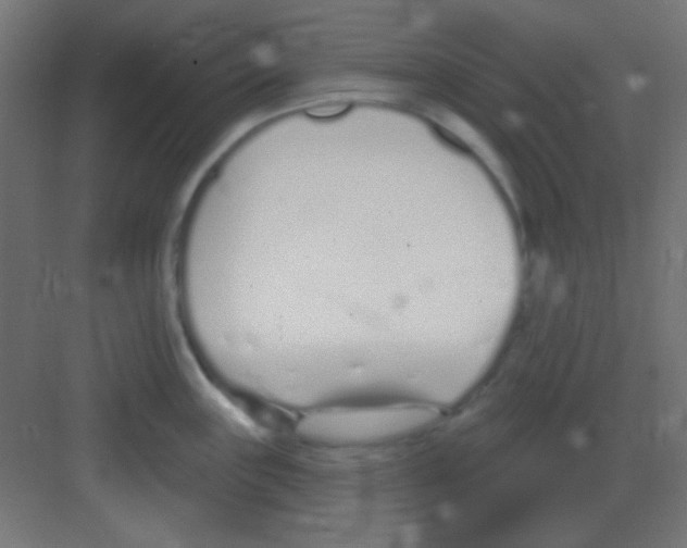 X0000081401243200702090055