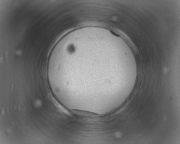 X0000081401244200702090055