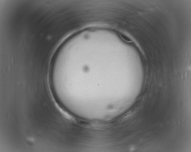 X0000081401245200702090055