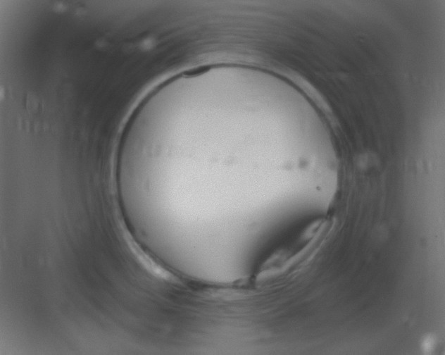 X0000081401246200702090055