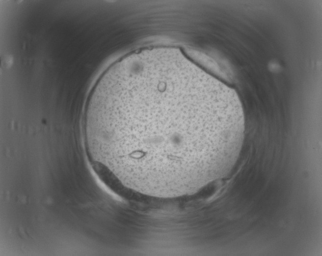 X0000081401247200702090055