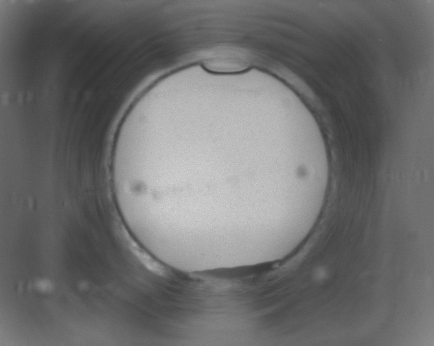 X0000081401248200702090055